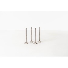 POLO 1.4 16 V - Valvula MEC