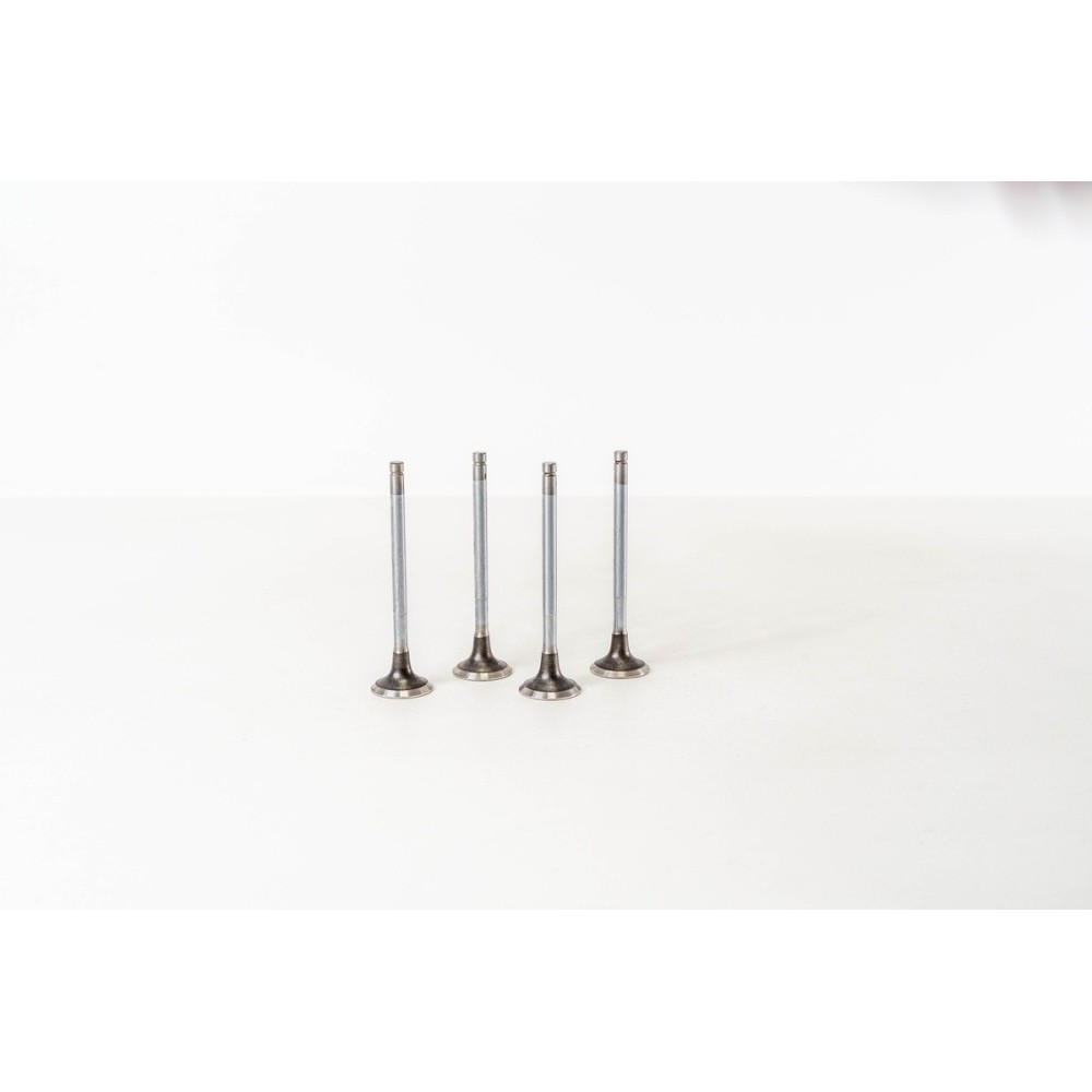 ASTRA 1.7 DI/DTI Y17DTL - 16V - Valvula MEC