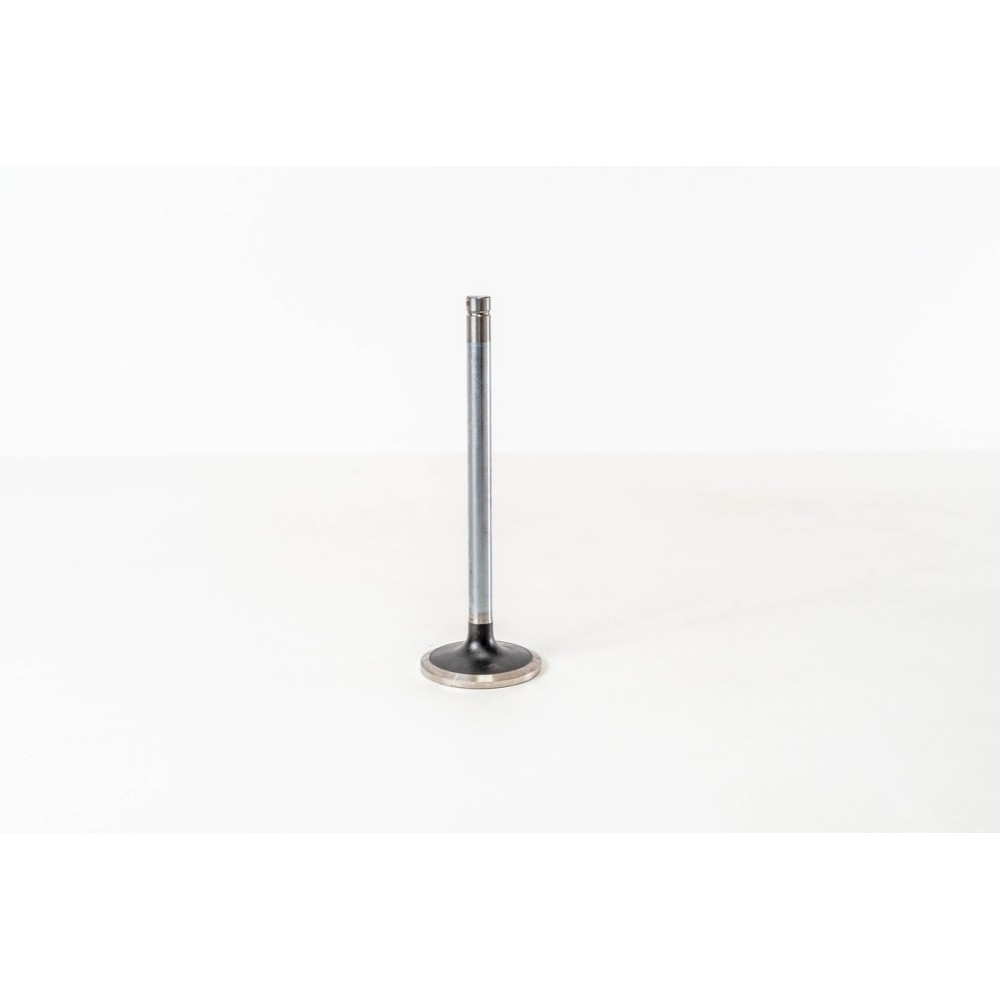 8280.42/S-190.48/440E52 - 25° - Valvula MEC