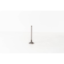 KANGOO/MEGANE F9Q - 1.9 DTI/TD - Valvula MEC