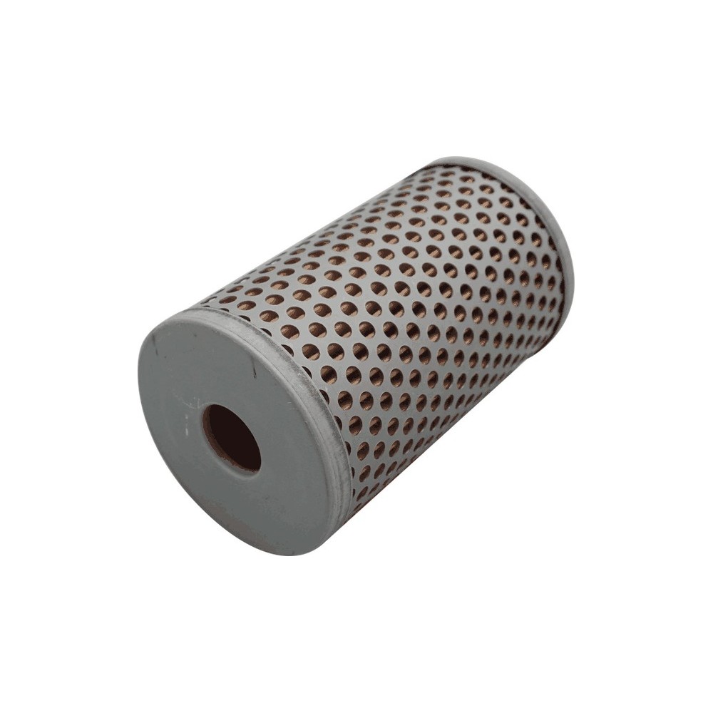 FILTRO OLIO SERVOSTERZO - DAIL - Filtro OE