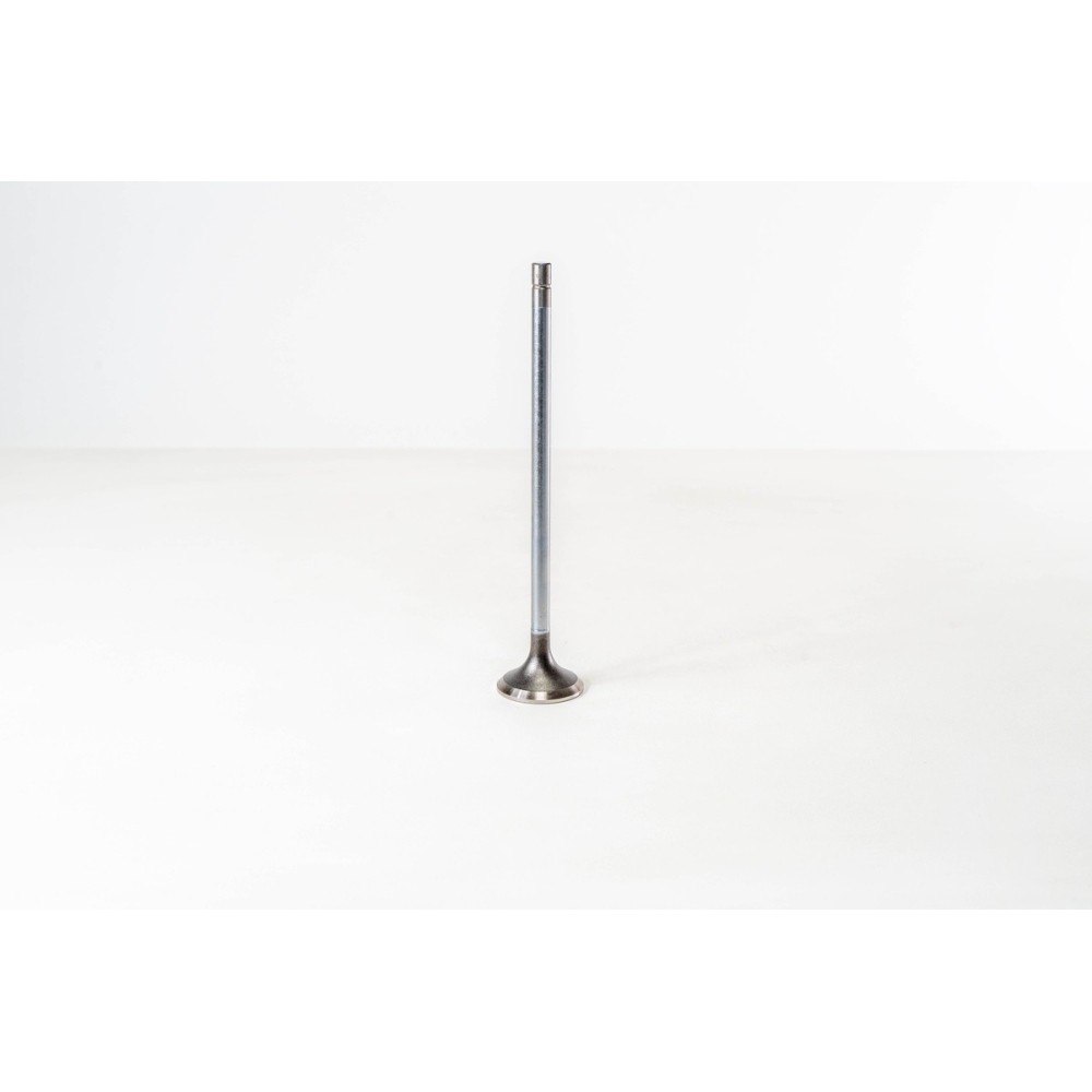 CURSOR 10 - F3AE0681 - 440E39 - Valvula OE