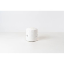 FILTRO OLIO F1AE0481 2300 CC - Filtro OE