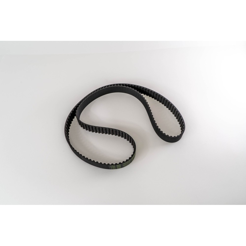 CINGHIA DISTRIBUZIONE 153 RHX 300 - Correa OE