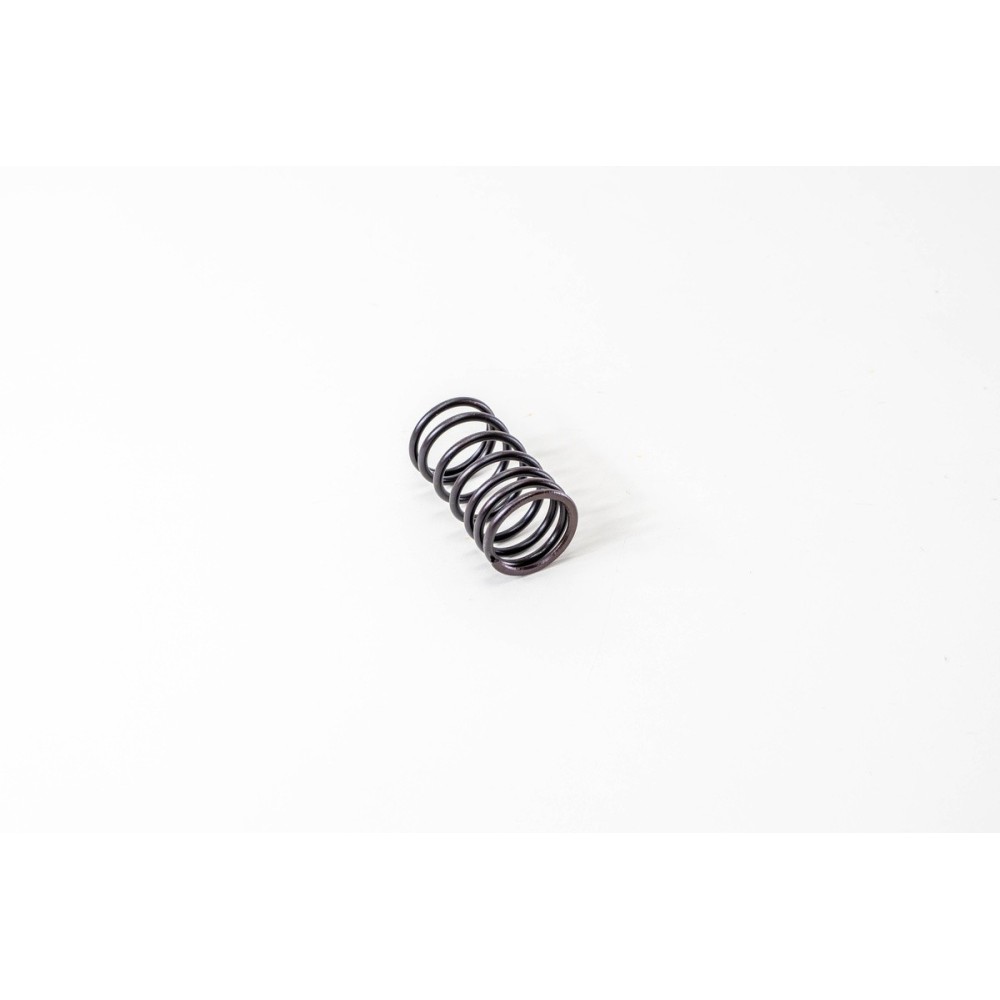 MOLLA VALVOLA EST. 616-625-645 - Muelle Valvula