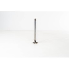 F3BE0681/3681 - CURSOR 13 - STRALIS - Valvula OE