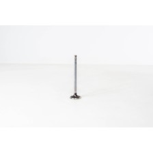 F4AE0481/F4AE0681 - TECTOR - Valvula OE