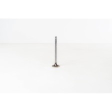 F4AE0481/F4AE0681 - TECTOR - Valvula OE