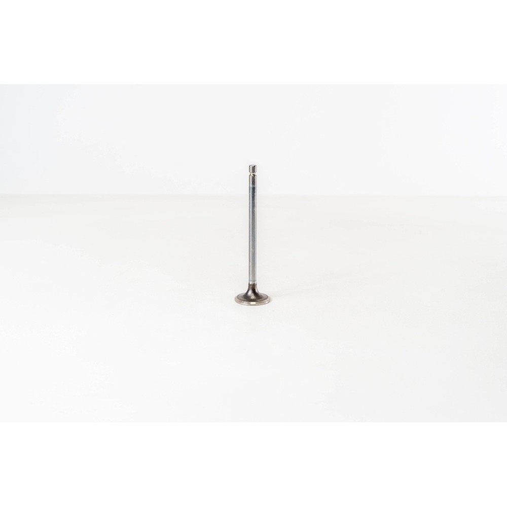 F4AE0481/F4AE0681 - TECTOR - Valvula OE