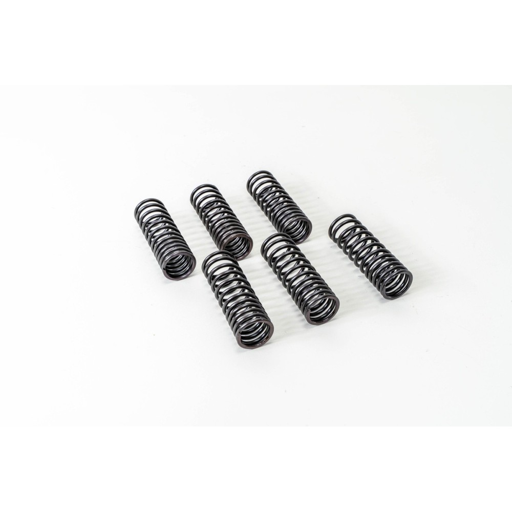 8210.02/22/42(INT)TURBOSTAR/EU - Muelle Valvula