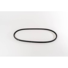 8140 - DAILY - Correa OE