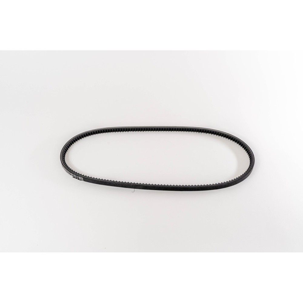 8140 - DAILY - Correa OE