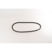 CINGHIA DENTATA 10 X 1000 - Correa OE