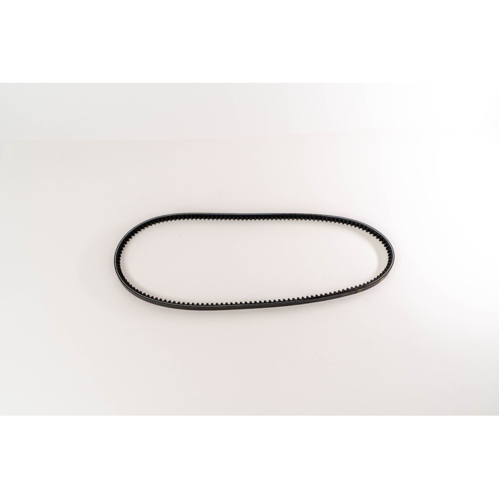 CINGHIA DENTATA 10 X 1000 - Correa OE