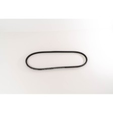 CINGHIA DENTATA 10 X 935 DAILY - Correa OE