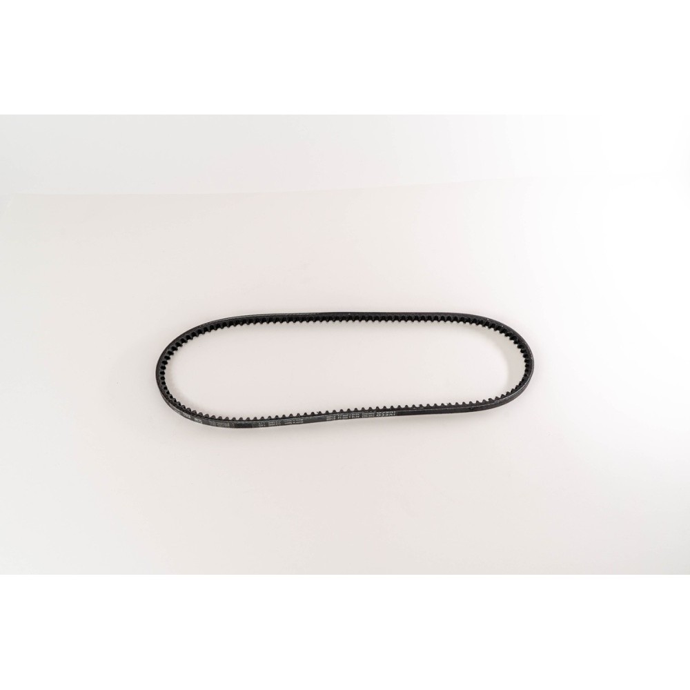 CINGHIA DENTATA 10 X 935 DAILY - Correa OE