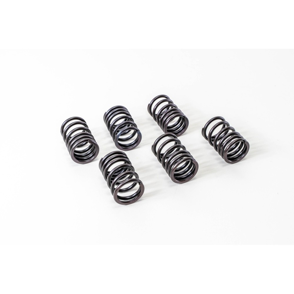 8340.04 - 50.9/50.10/CO3/CP3 - Muelle Valvula