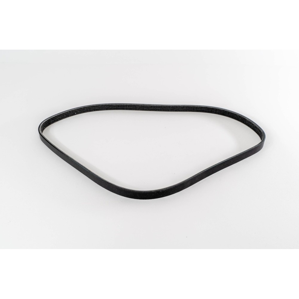 CINGHIA POLI V 4 PK 1013 - DAI - Correa OE