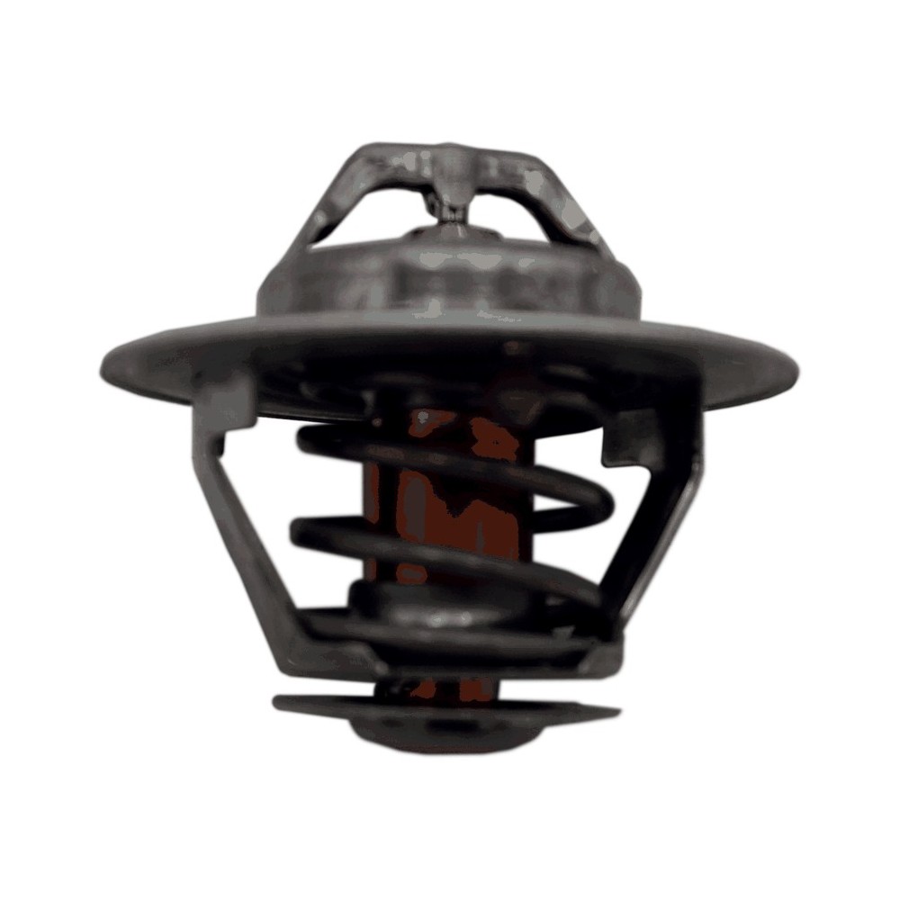 DAILY I - 8140 - TERMOSTATO