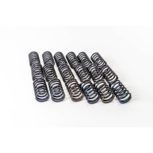 D 2865/D 2866 - ESTERNA - - Muelle Valvula