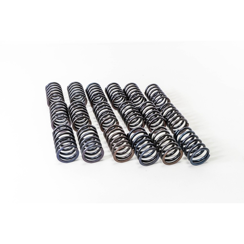 D 2865/D 2866 - ESTERNA - - Muelle Valvula