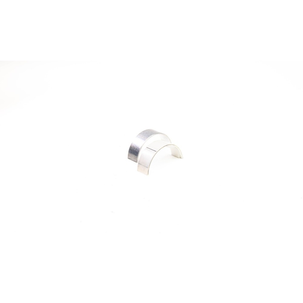 F1AE0481/3481 - DAILY - Cojinetes OE