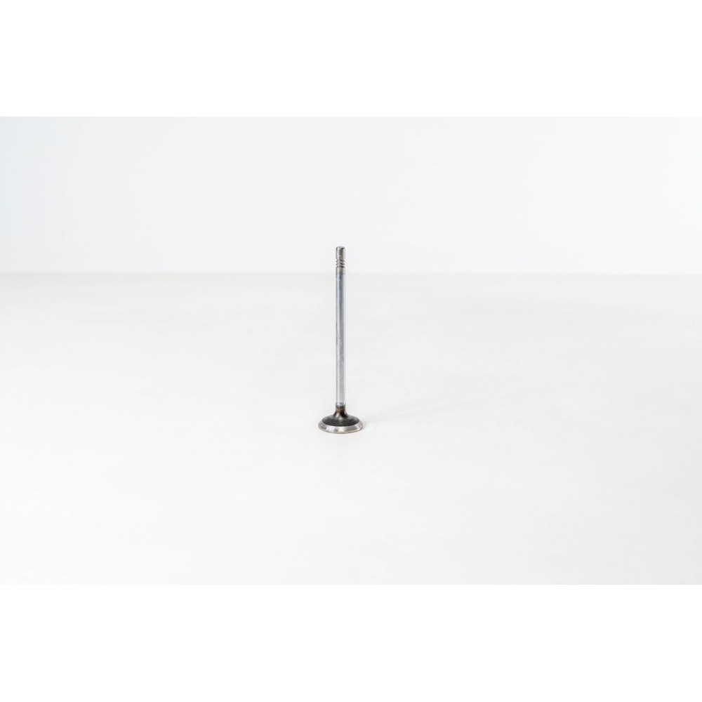 F1AE0481 - DAILY 35C10/S10 - - Valvula OE