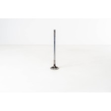 F1AE0481 - DAILY 35C10/S10 - - Valvula OE