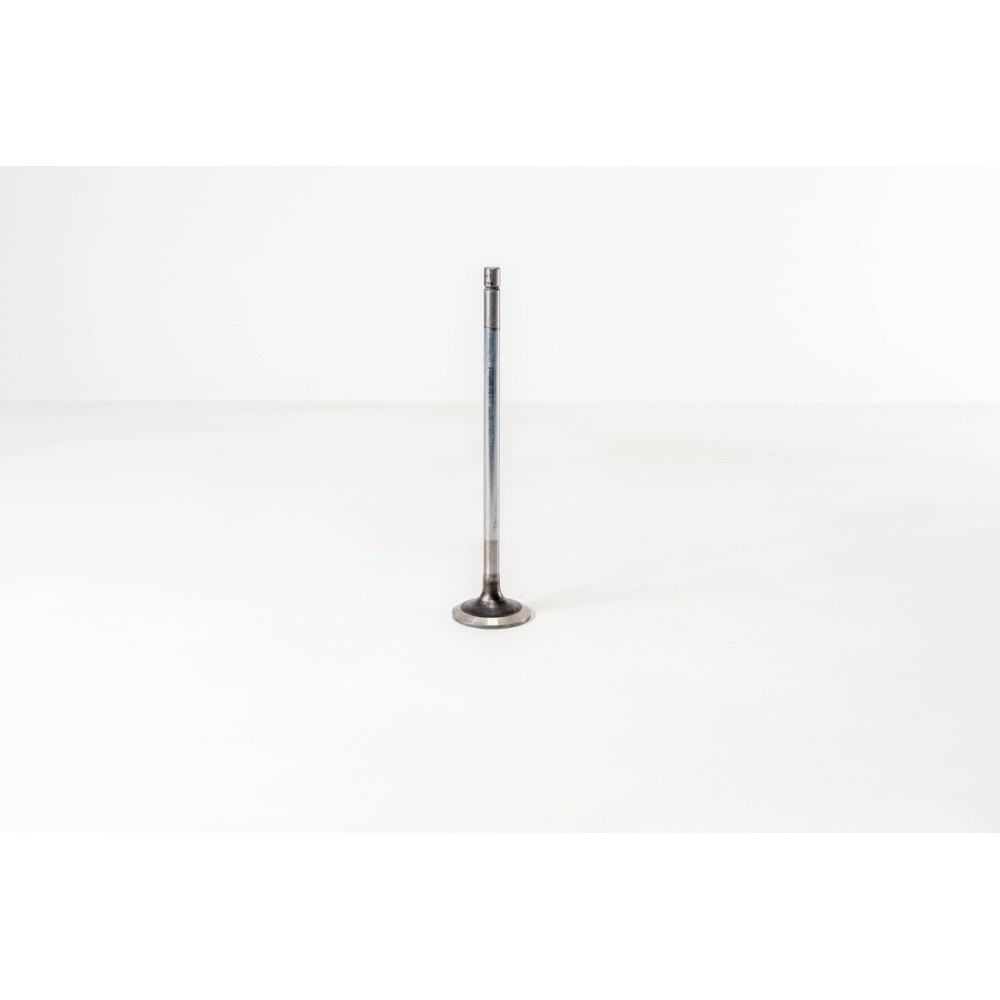 F1AE0481 - DAILY 35C10/S10 - - Valvula OE