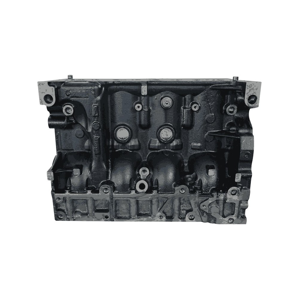 F1AE0481/3481 - DAILY 2.3 HPI - Bloque de cilindros