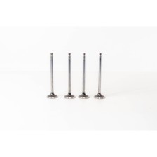 F4AE0481/F4AE0681 - TECTOR - Valvula MEC