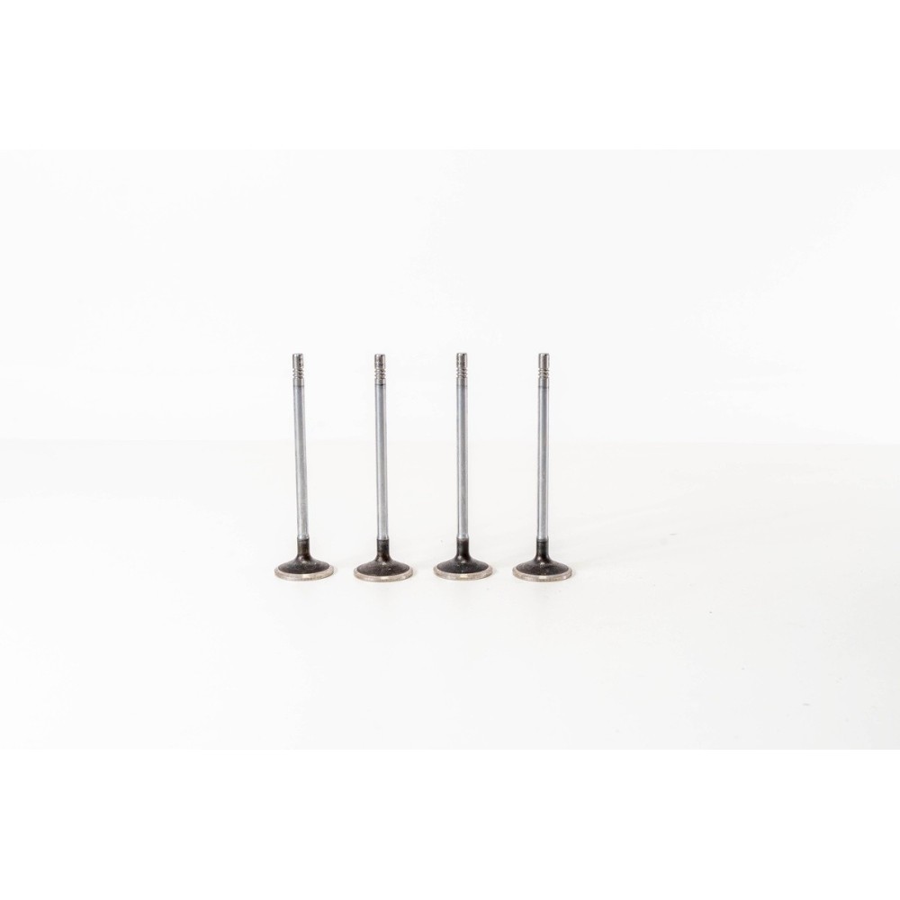 F1CE0481A - DAILY 35C14 - 3.0 - Valvula OE