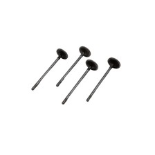 F1CE0481A - DAILY 35C14 - 3.0 - Valvula OE