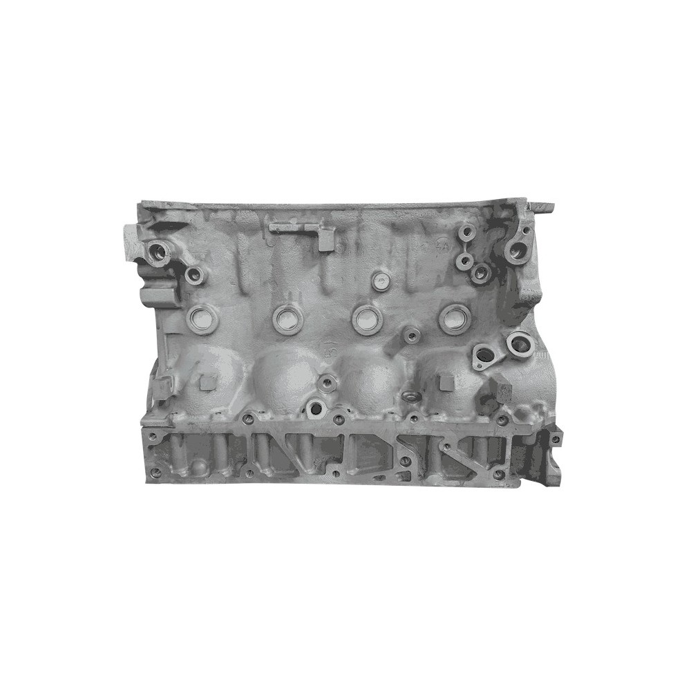 F1CE0481-F1CE3481 DAILY/DUCATO 3.0 - Bloque de cilindros