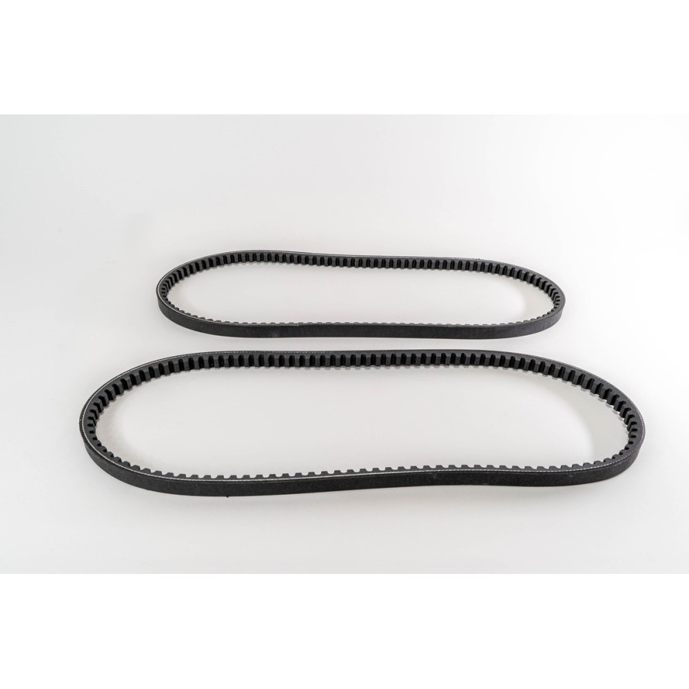 KIT CINGHIE DENTATE 17 X 1220 - Correa OE