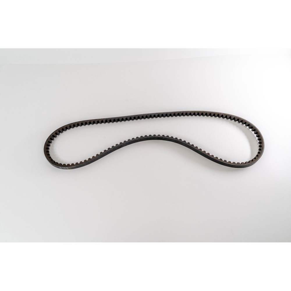 8360/8469 - Correa OE