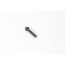 F4GE0484/0684 - Tornillo de biela