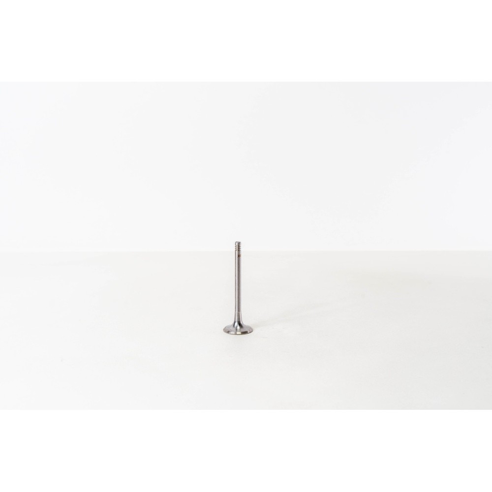 GOLF-2000TDI-16V-29.2X6X87.8 - Valvula MEC