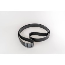 CINGHIA POLI V 2050 K 10 - E4 - Correa OE