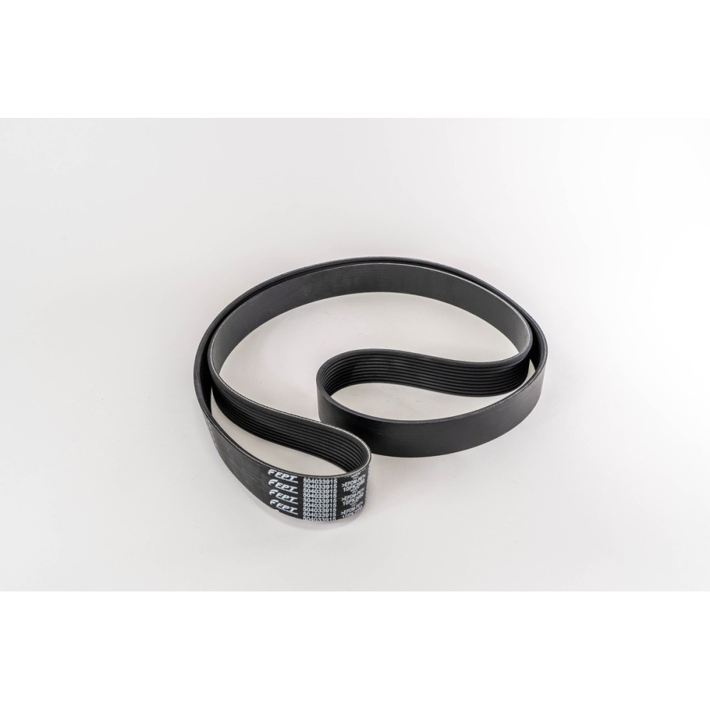 CINGHIA POLI V 2050 K 10 - E4 - Correa OE