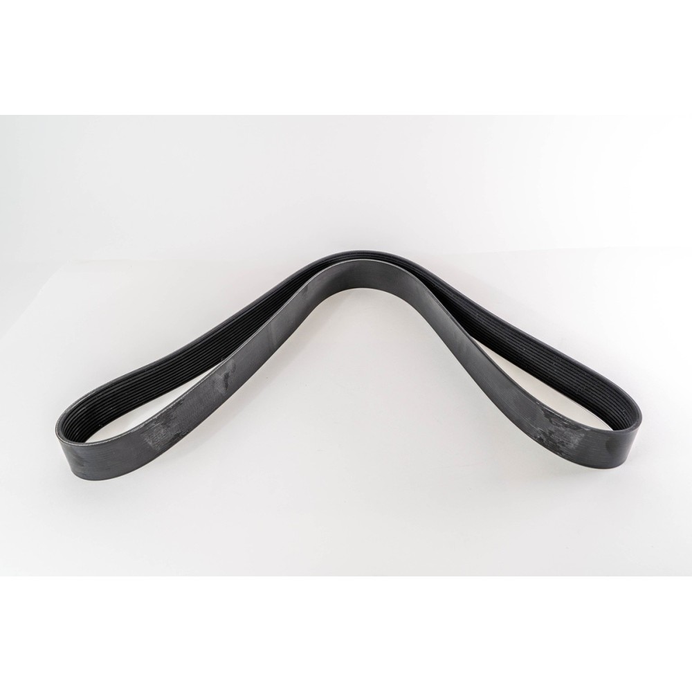 CINGHIA POLI V 1818 K 12 - E4 - Correa OE