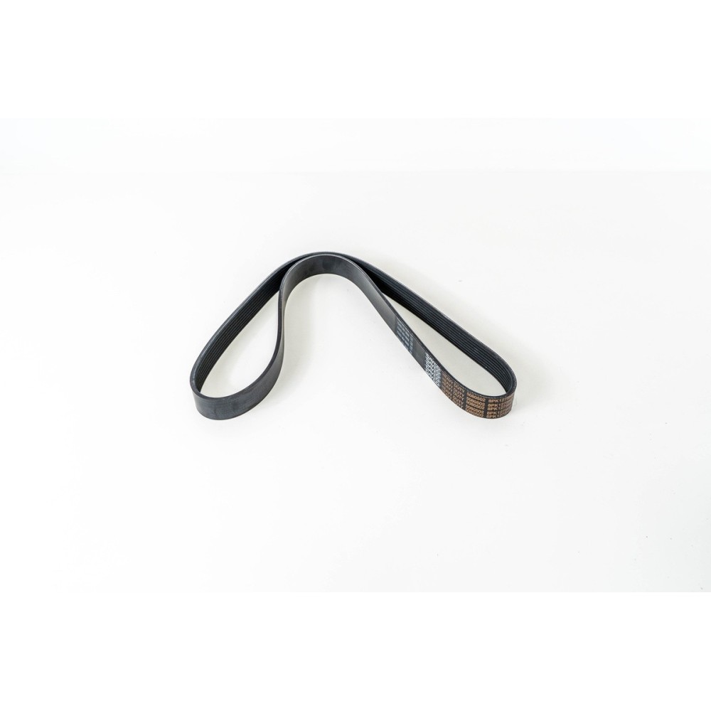 D0834/D0836 - TGL/TGM - CORREA DAYCO