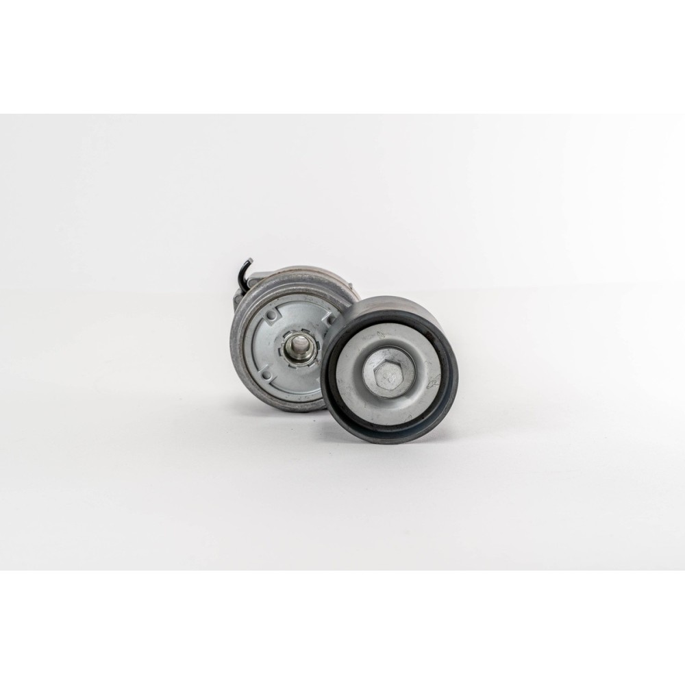 TENDICINGHIA AXOR/CITARO/ECONI - Tensor Correa