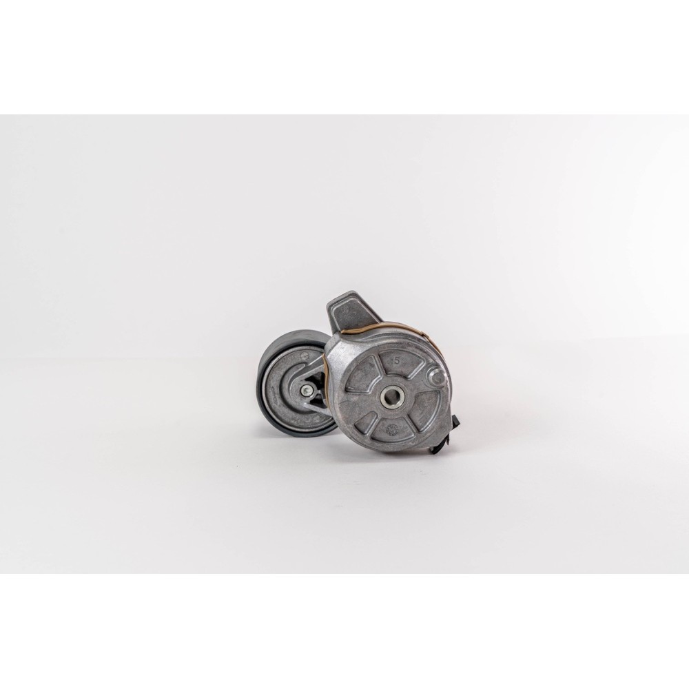 TENDICINGHIA TOURISMO/TRAVEGO/ - Tensor Correa