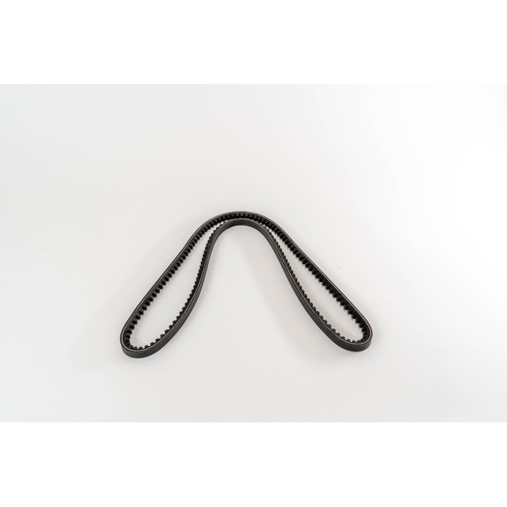 T440/D2866 - MIDLINER/LION - CORREA DAYCO