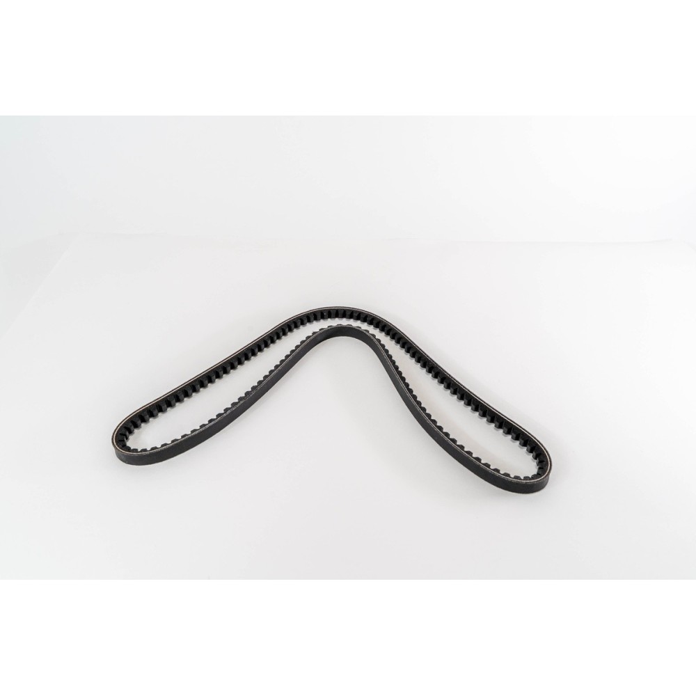 DSC 11 - 3-SERIES/3-SERIES BUS - CORREA DAYCO