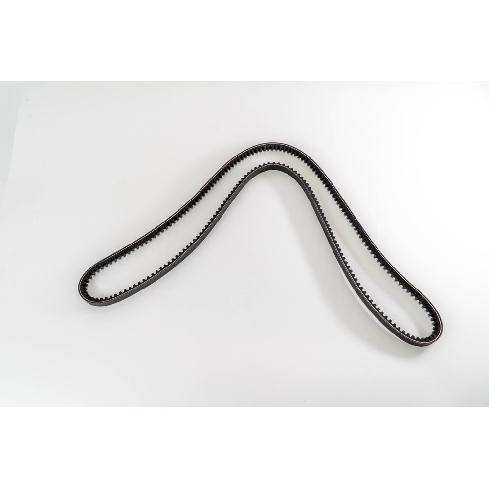 DSC 11 - 3-SERIES/3-SERIES BUS - CORREA DAYCO