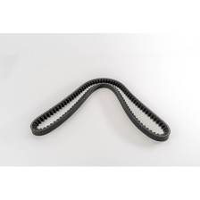 8210 - EUROSTAR/EUROTECH - CORREA DAYCO