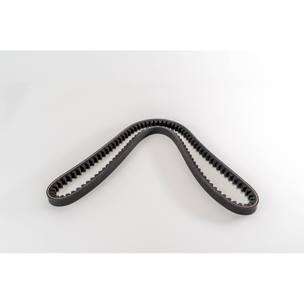 8210 - EUROSTAR/EUROTECH - CORREA DAYCO