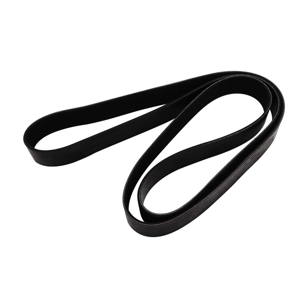 CINGHIA 10PK2050 - CORREA DAYCO